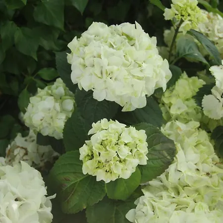 Διαμέρισμα Eremitage Sylt *